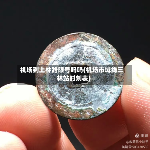 机场到上林路限号吗吗(机场市域线三林站时刻表)-第1张图片