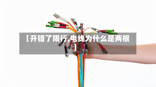 【开错了限行,电线为什么是两根】-第1张图片
