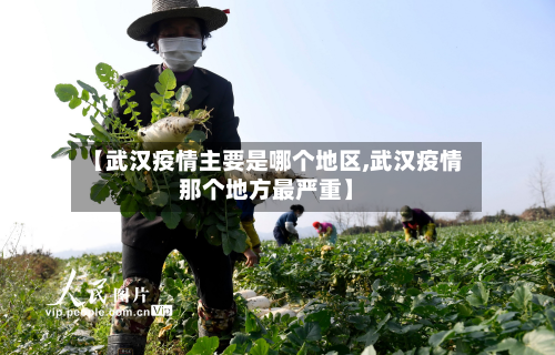 【武汉疫情主要是哪个地区,武汉疫情那个地方最严重】-第1张图片