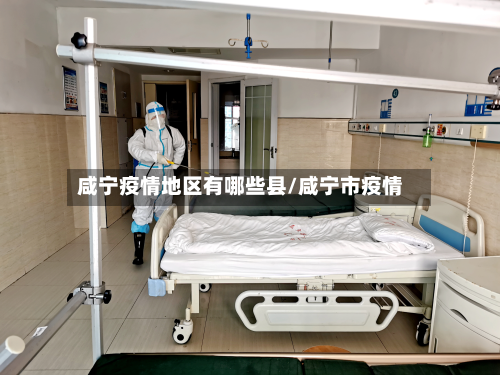 咸宁疫情地区有哪些县/咸宁市疫情-第1张图片