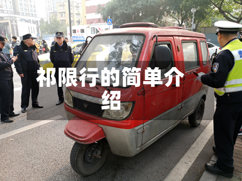 祁限行的简单介绍-第1张图片