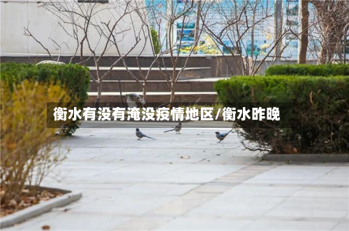 衡水有没有淹没疫情地区/衡水昨晚-第2张图片
