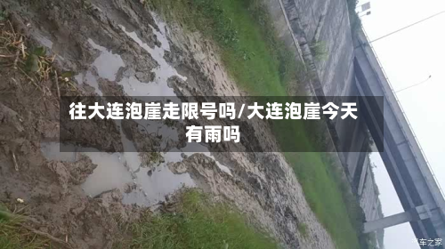 往大连泡崖走限号吗/大连泡崖今天有雨吗-第1张图片