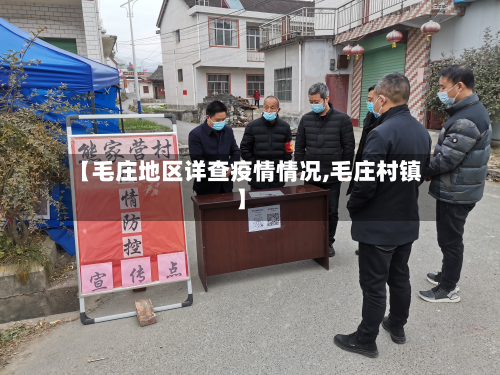 【毛庄地区详查疫情情况,毛庄村镇】