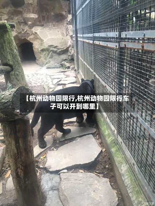 【杭州动物园限行,杭州动物园限行车子可以开到哪里】