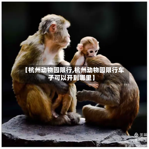 【杭州动物园限行,杭州动物园限行车子可以开到哪里】-第3张图片