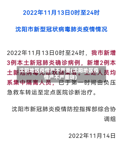 沈阳地区疫情严不严重(沈阳地区疫情严不严重呀)-第1张图片
