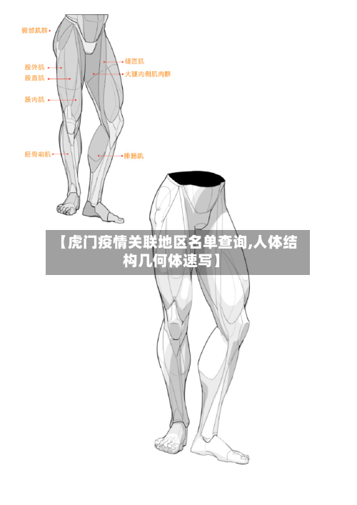 【虎门疫情关联地区名单查询,人体结构几何体速写】