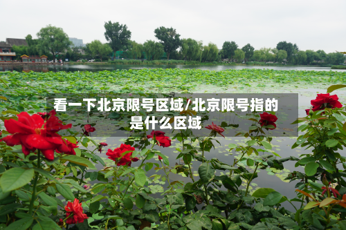 看一下北京限号区域/北京限号指的是什么区域-第2张图片