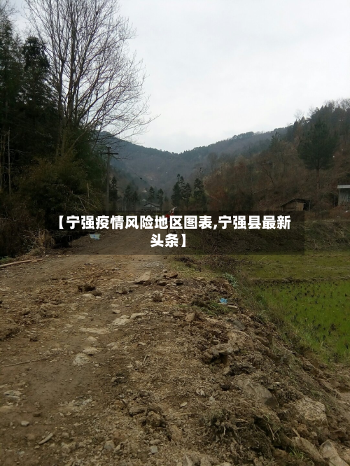 【宁强疫情风险地区图表,宁强县最新头条】