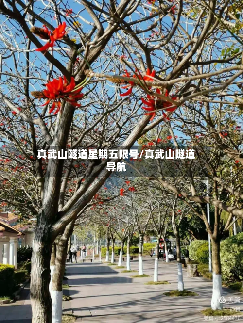 真武山隧道星期五限号/真武山隧道导航