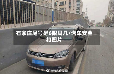 石家庄尾号是6限周几/汽车安全扣图片-第3张图片