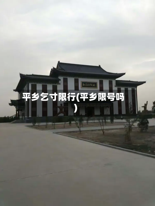 平乡乞寸限行(平乡限号吗)