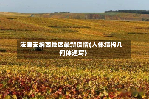 法国安纳西地区最新疫情(人体结构几何体速写)-第2张图片