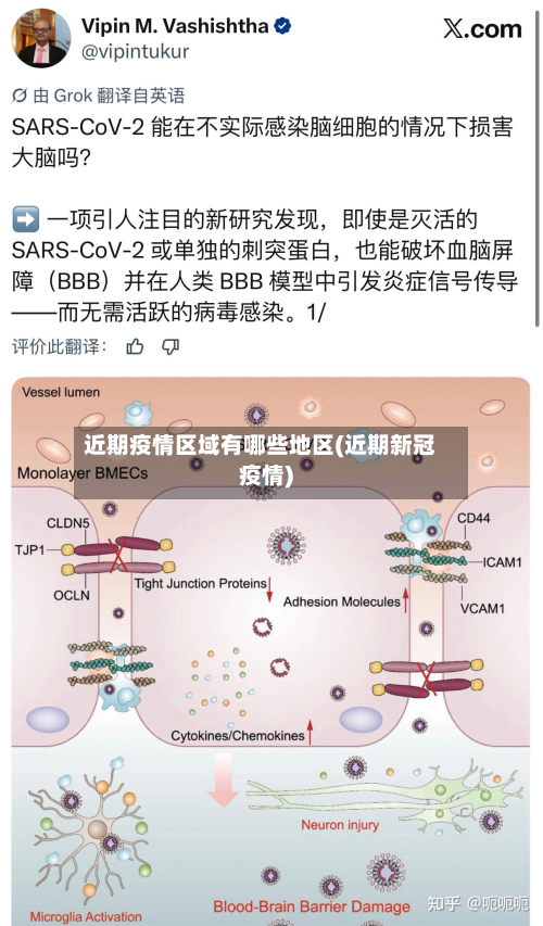 近期疫情区域有哪些地区(近期新冠疫情)-第1张图片