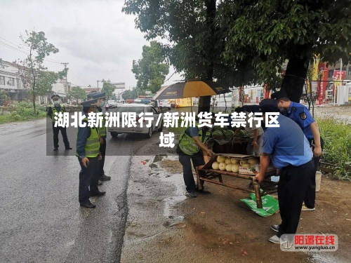 湖北新洲限行/新洲货车禁行区域