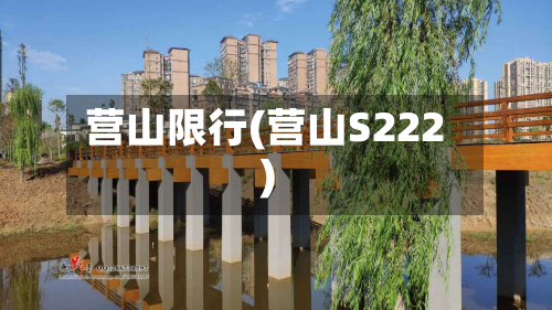 营山限行(营山S222)