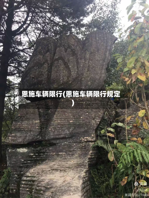 恩施车辆限行(恩施车辆限行规定)-第2张图片
