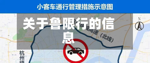 关于鲁限行的信息