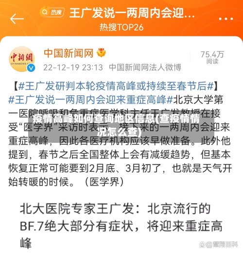 疫情高峰如何查询地区信息(查疫情情况怎么查)