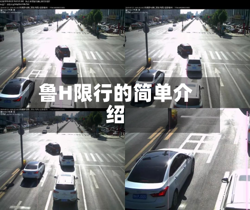 鲁H限行的简单介绍-第1张图片