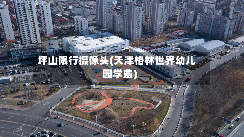 坪山限行摄像头(天津格林世界幼儿园学费)-第1张图片