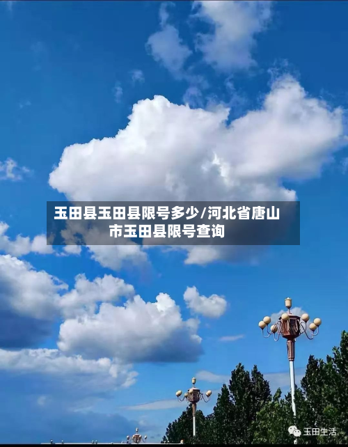 玉田县玉田县限号多少/河北省唐山市玉田县限号查询-第1张图片