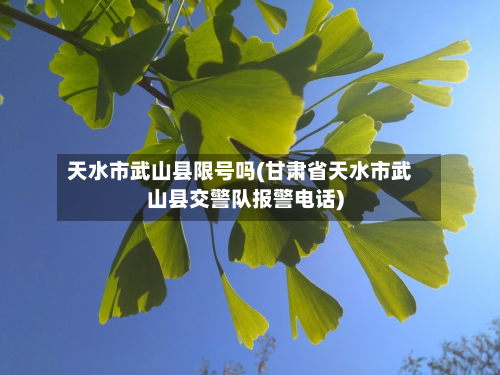 天水市武山县限号吗(甘肃省天水市武山县交警队报警 *** )