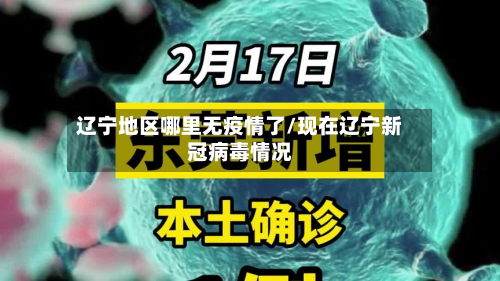 辽宁地区哪里无疫情了/现在辽宁新冠病毒情况-第1张图片