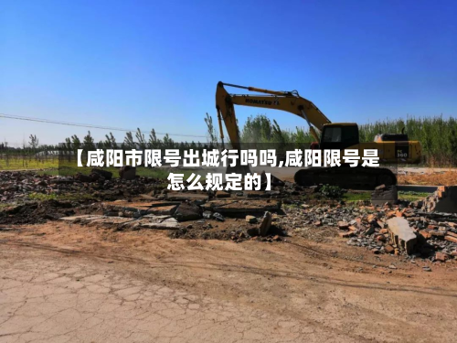 【咸阳市限号出城行吗吗,咸阳限号是怎么规定的】-第1张图片