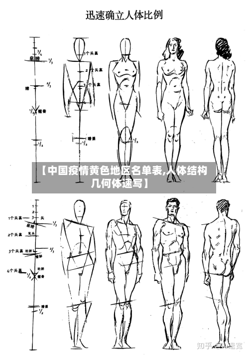 【中国疫情黄色地区名单表,人体结构几何体速写】-第3张图片