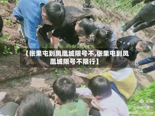 【张果屯到凤凰城限号不,张果屯到凤凰城限号不限行】-第1张图片
