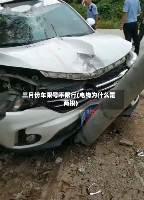三月份车限号不限行(电线为什么是两根)-第1张图片