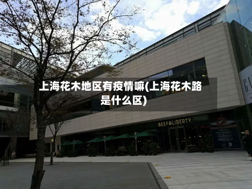 上海花木地区有疫情嘛(上海花木路是什么区)-第1张图片
