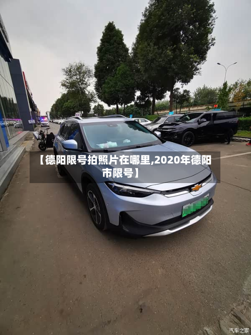 【德阳限号拍照片在哪里,2020年德阳市限号】-第3张图片