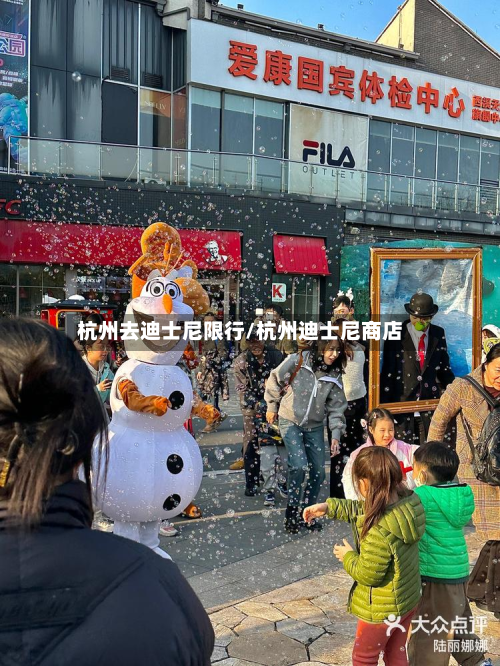 杭州去迪士尼限行/杭州迪士尼商店-第1张图片
