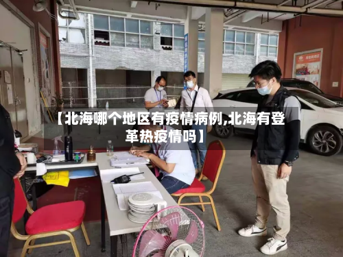 【北海哪个地区有疫情病例,北海有登革热疫情吗】-第1张图片
