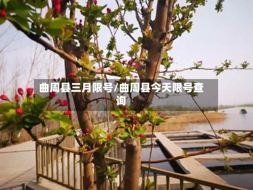 曲周县三月限号/曲周县今天限号查询-第1张图片