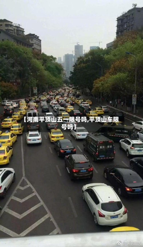 【河南平顶山五一限号吗,平顶山车限号吗】-第2张图片