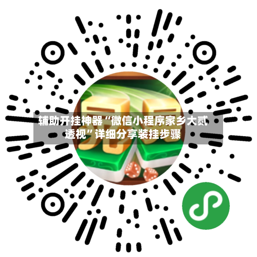 辅助开挂神器“微信小程序家乡大贰透视”详细分享装挂步骤-第3张图片