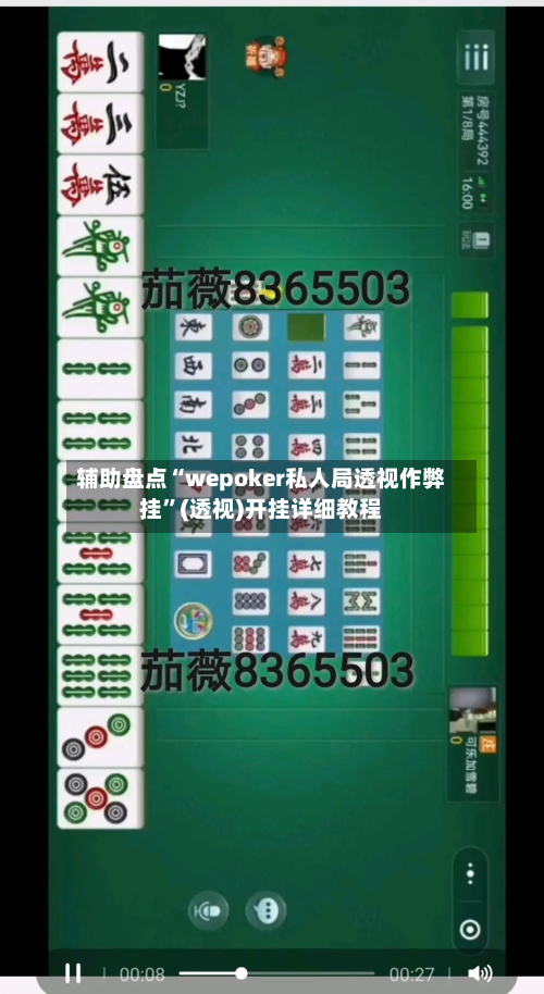 辅助盘点“wepoker私人局透视作弊挂”(透视)开挂详细教程-第2张图片