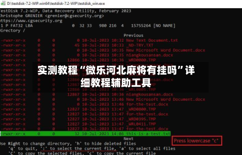实测教程“微乐河北麻将有挂吗	”详细教程辅助工具-第2张图片