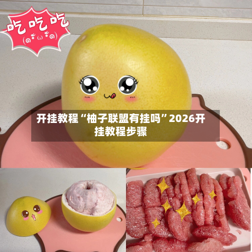 开挂教程“柚子联盟有挂吗”2026开挂教程步骤-第3张图片