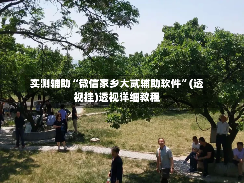 实测辅助“微信家乡大贰辅助软件”(透视挂)透视详细教程-第3张图片