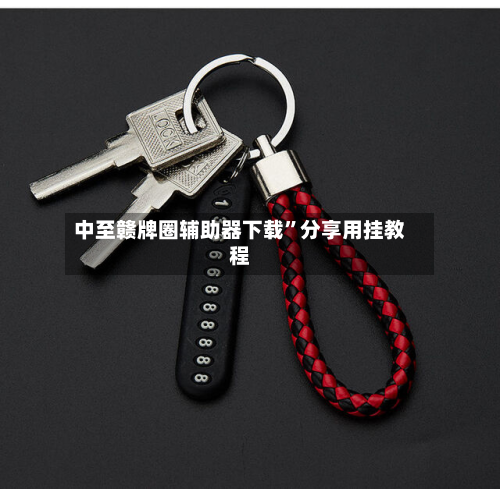 中至赣牌圈辅助器下载”分享用挂教程-第3张图片