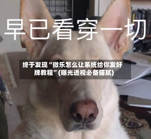 终于发现“微乐怎么让系统给你发好牌教程”(曝光透视必备猫腻)-第2张图片