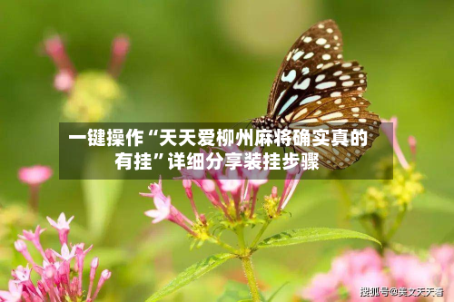 一键操作“天天爱柳州麻将确实真的有挂”详细分享装挂步骤-第3张图片
