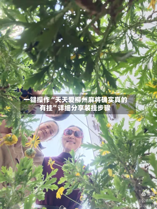 一键操作“天天爱柳州麻将确实真的有挂	”详细分享装挂步骤-第2张图片