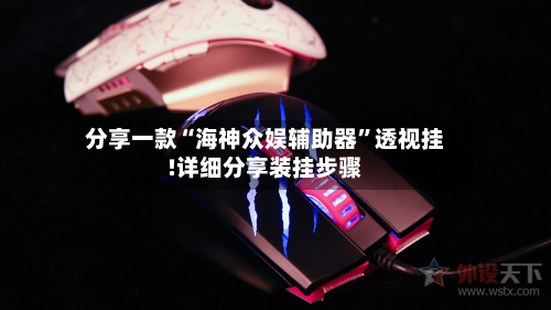 分享一款“海神众娱辅助器”透视挂!详细分享装挂步骤-第3张图片