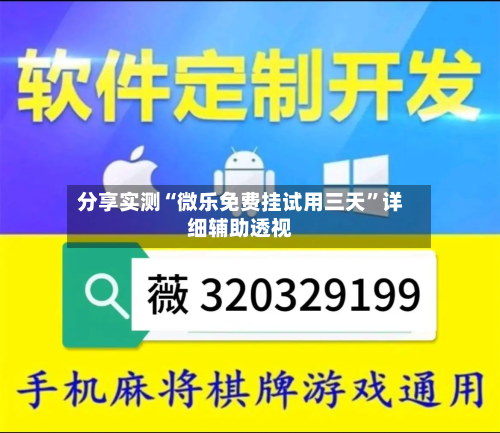 分享实测“微乐免费挂试用三天”详细辅助透视-第3张图片